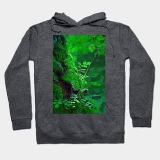 Lush Green Forest Hoodie